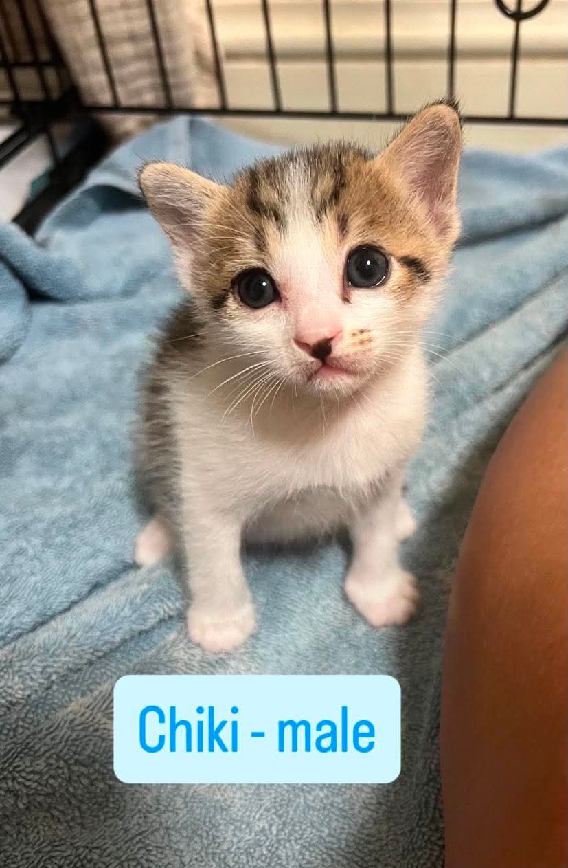 Chiki