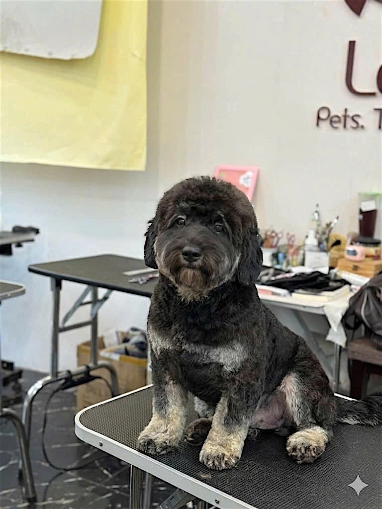 coca