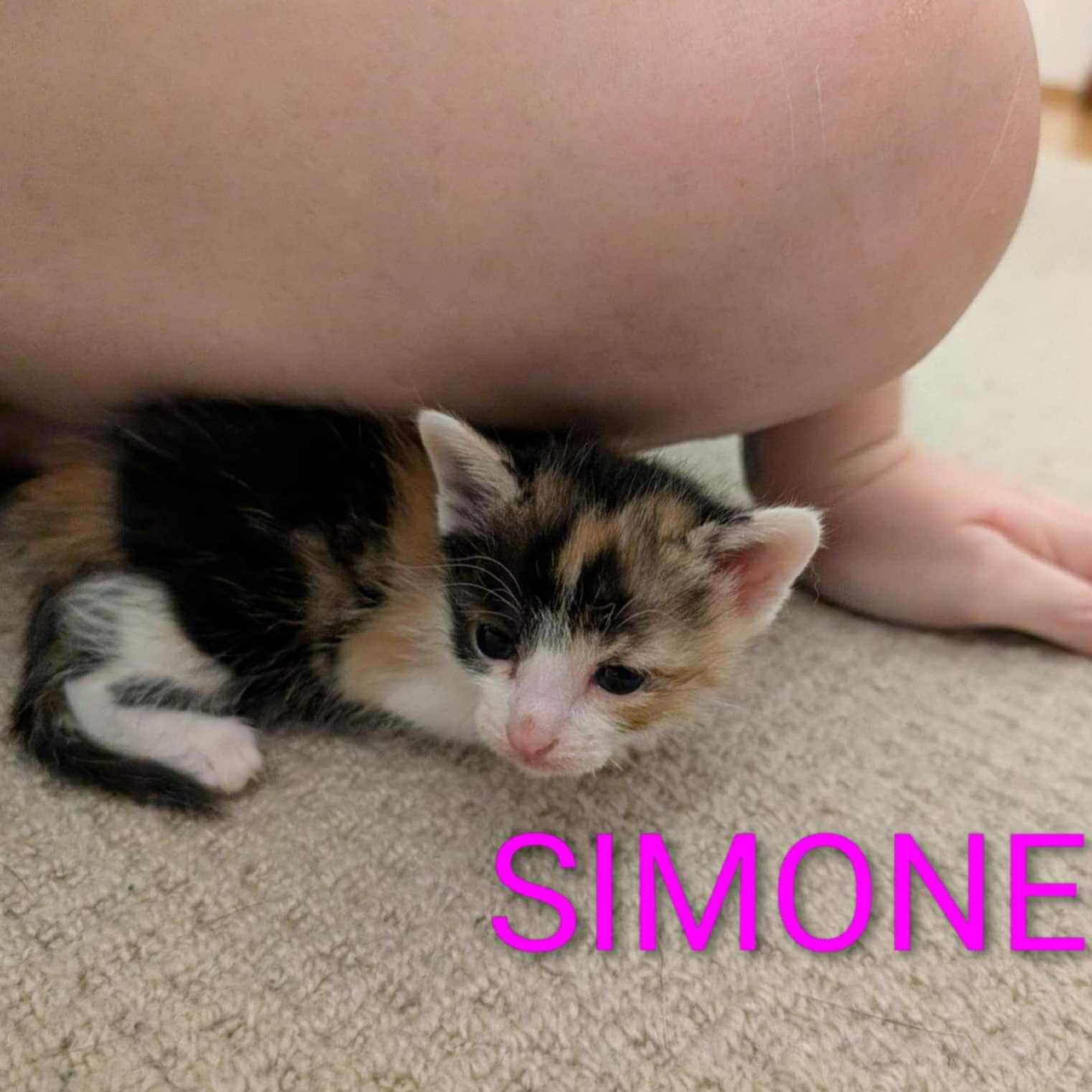 simone