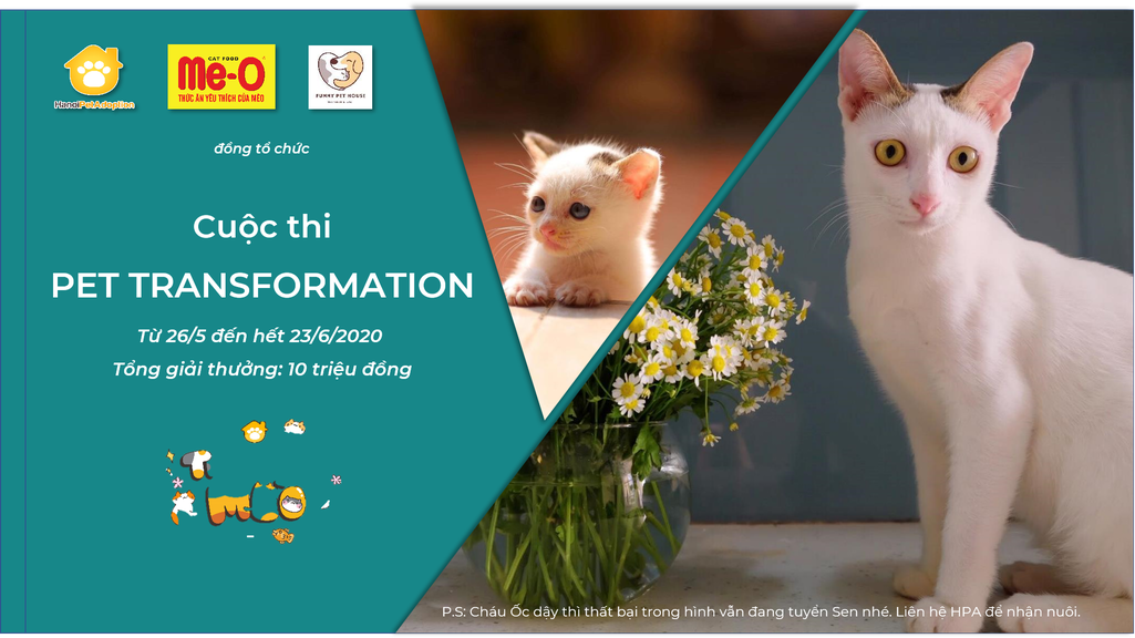 Cuộc thi Pet Transformation